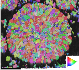 IPFz map of NCM811 particle cross section showing its internal structure with EBSD.